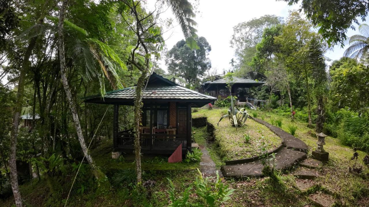 Rimba Eco Resort Tomohon Exterior photo